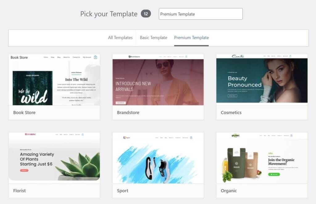 SmartSeller set up an online store select ecommerce template